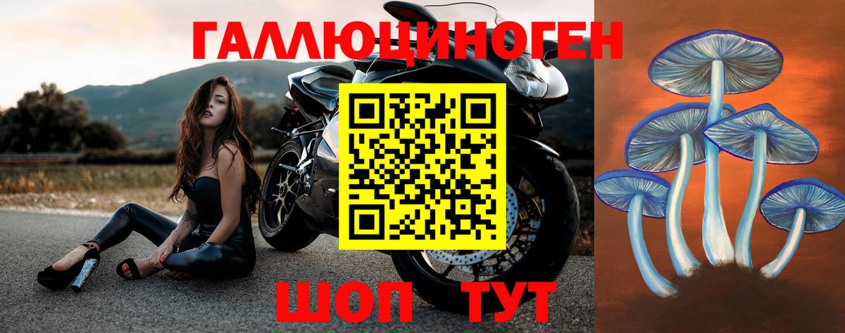 Галлюциногенные грибы мухоморы Лесной